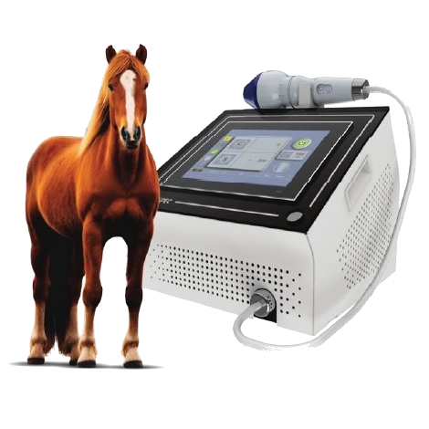 Vetspec-com-cavalo