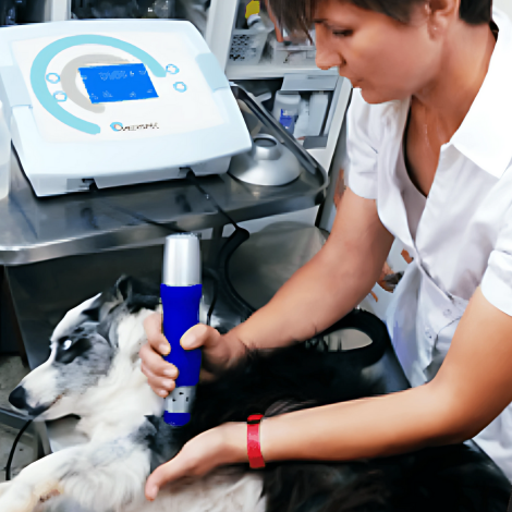 Radiapet_appication_1
